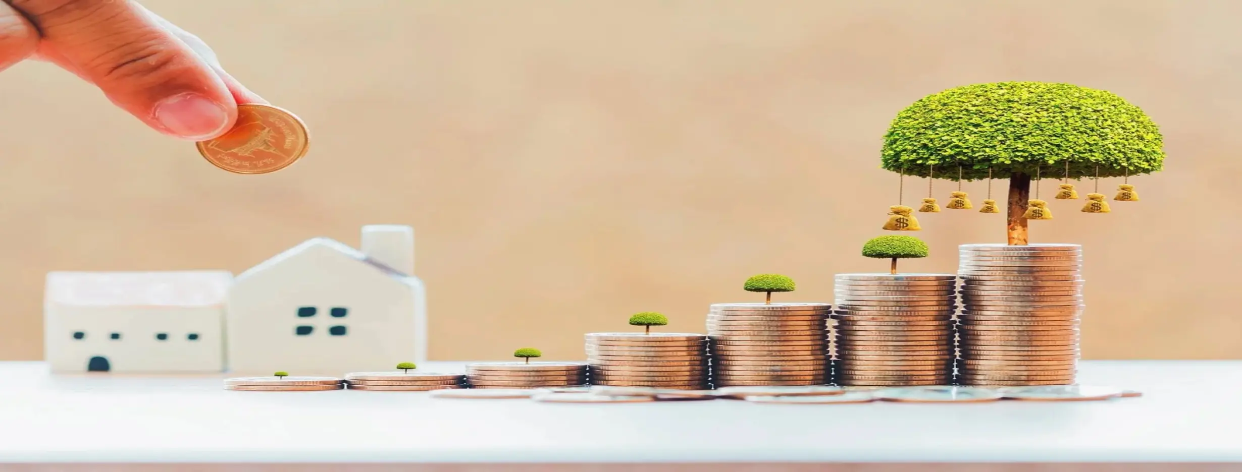 Image for Economic Resilience